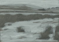 Winter Series II (21 x 28 cm) Graphite and Gouache on Ingres paper