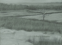 Winter Series III (21 x 28 cm) Graphite and Gouache on Ingres paper