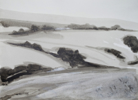 Field Series II (28 x 38 cm) Ink and Watercolour on paper