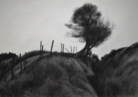 Boundary Fence (69 x 97 cm) Charcoal on paper