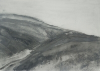 Crows' Nest (25 x 35 cm) Ink and graphite on paper